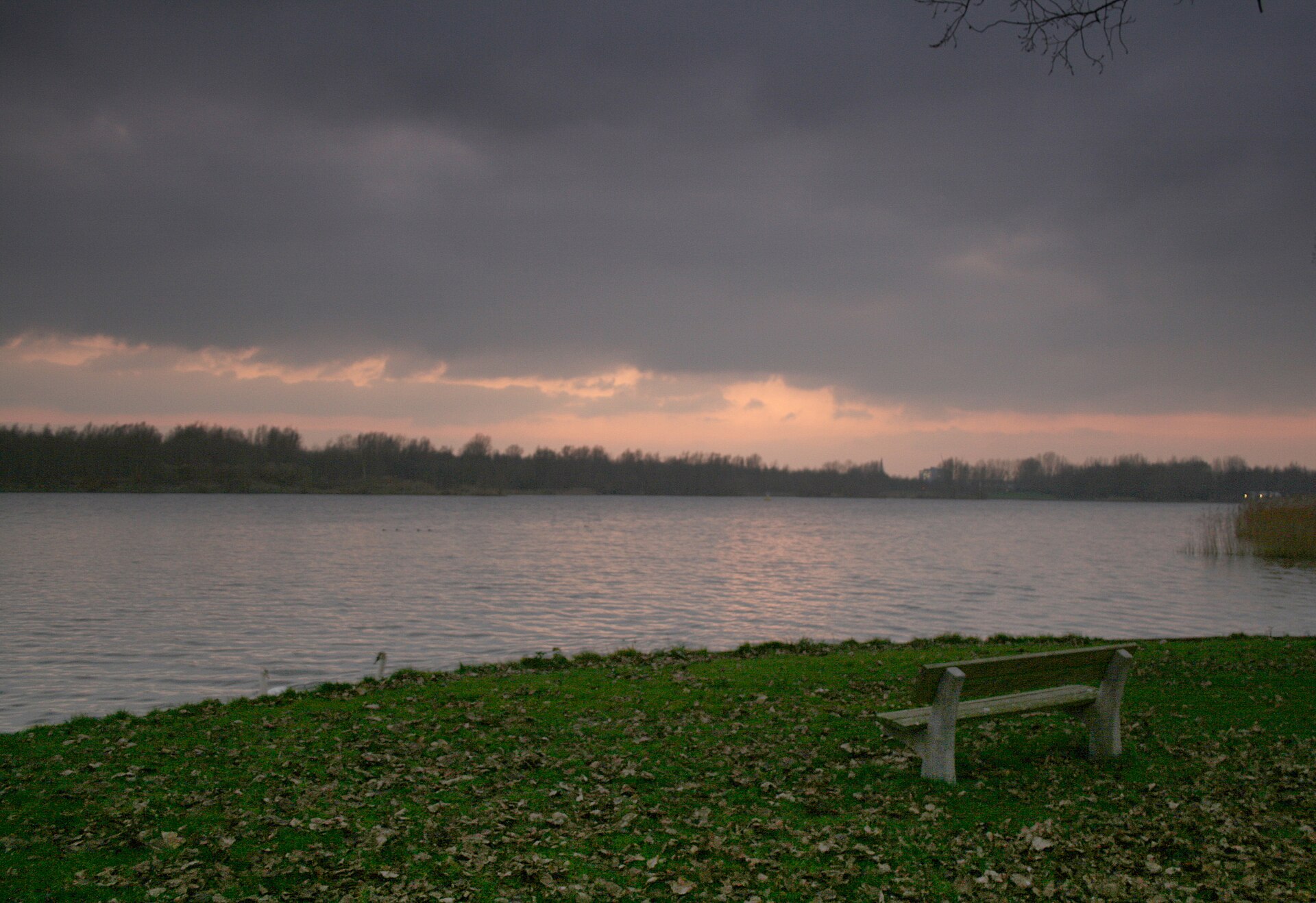 Gaasperplas (water)