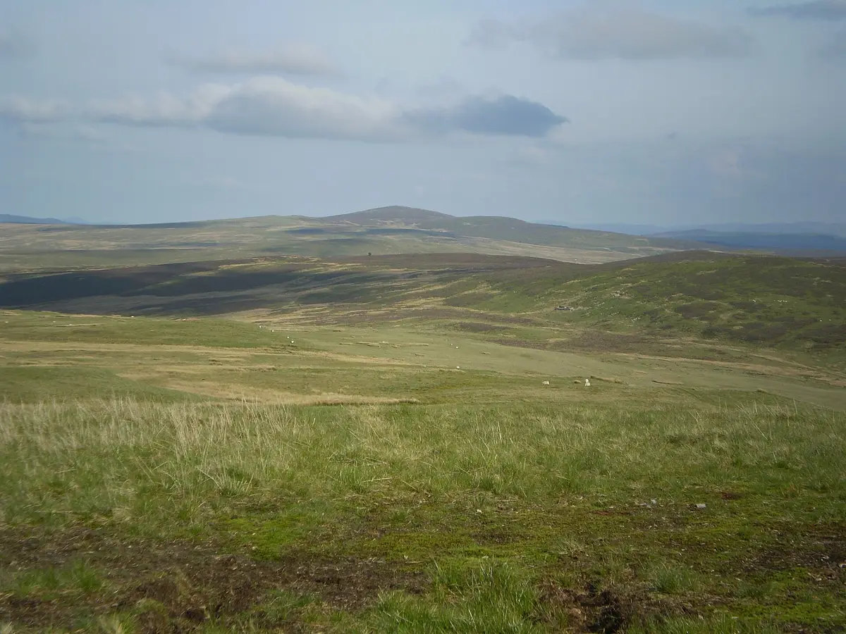 Denbigh Moors