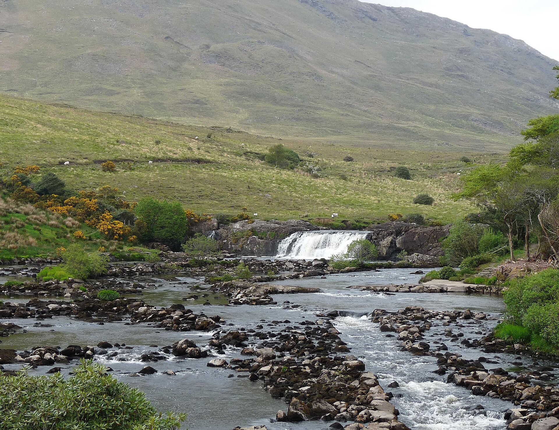 River Erriff