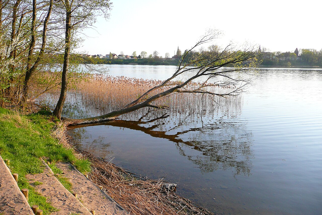 Jezioro Oleckie Wielkie