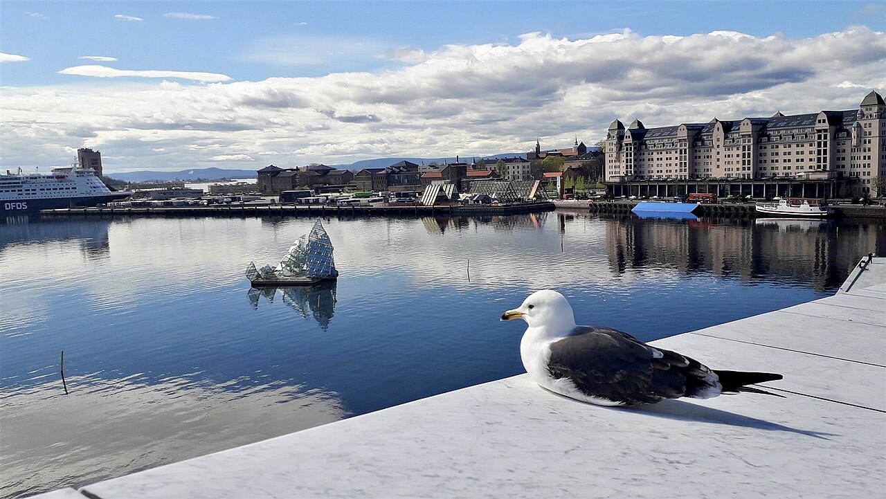 View from Oslo Opera House over Oslo Fjord with seagull