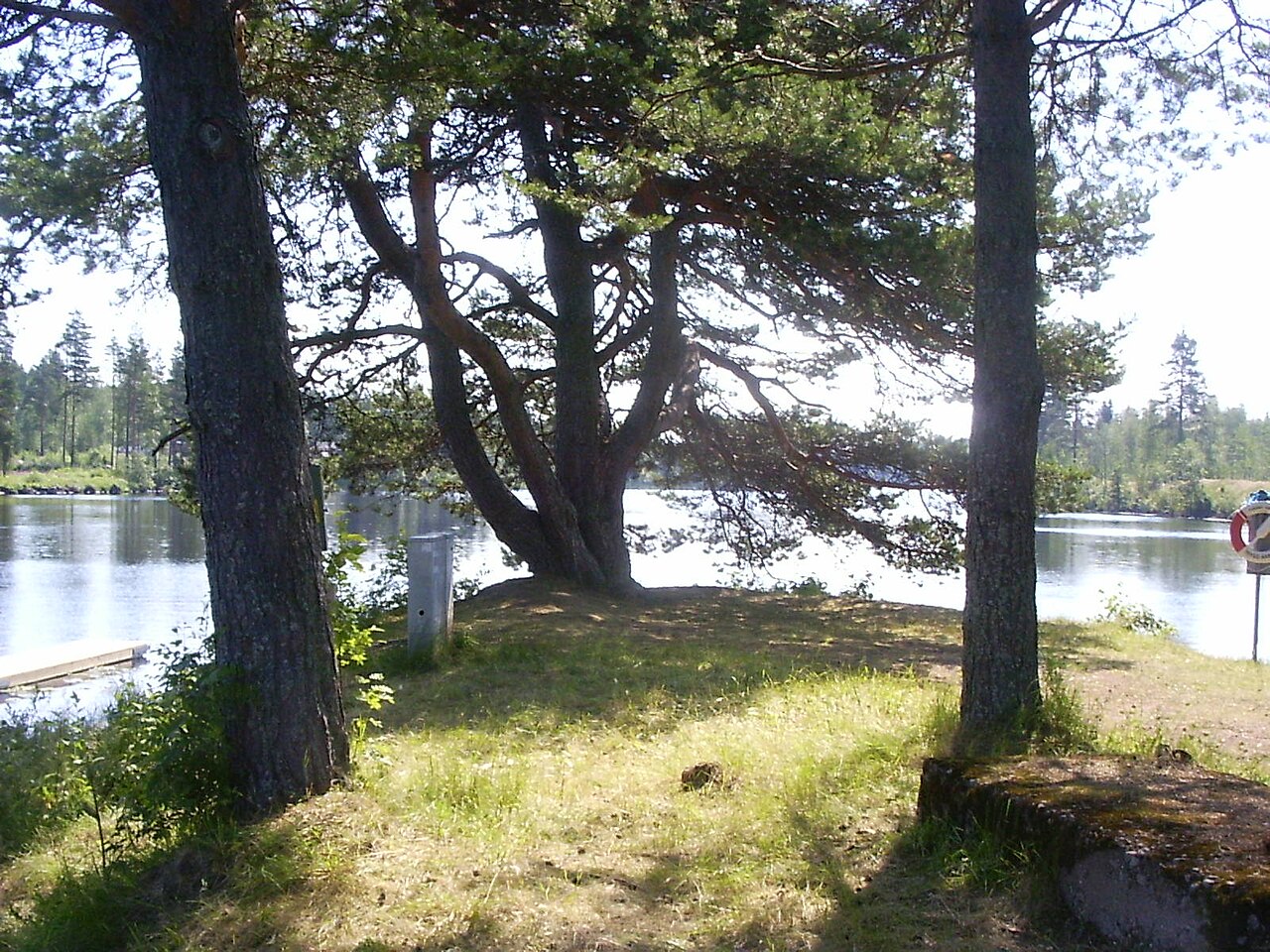 Vansbro-river-junction
