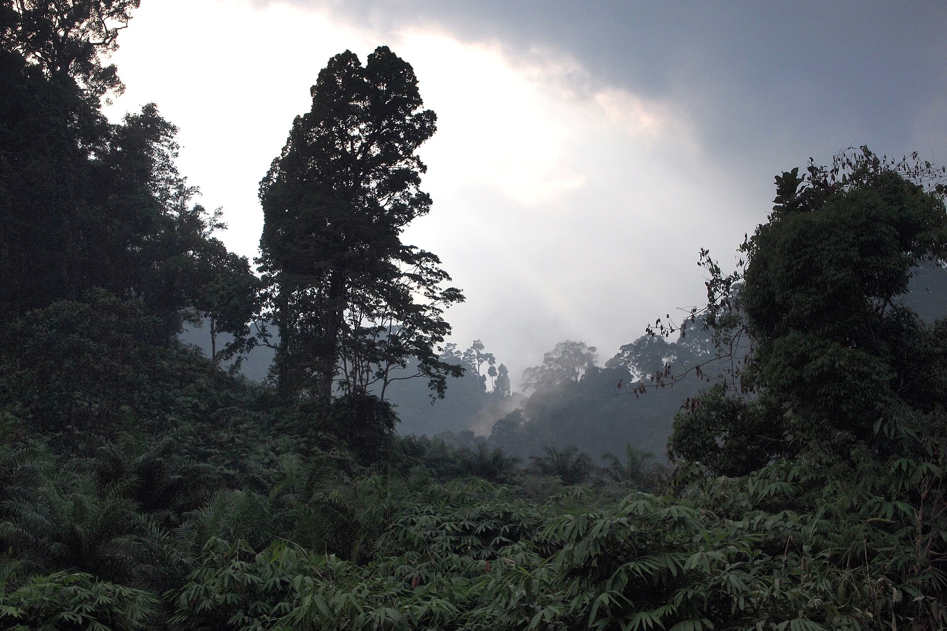 Khao Lak–Lam Ru National Park
